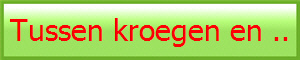 Tussen kroegen en ..