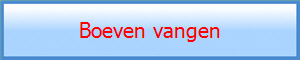 Boeven vangen