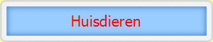 Huisdieren