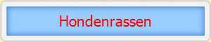 Hondenrassen