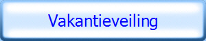 Vakantieveiling