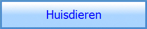 Huisdieren