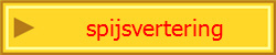  spijsvertering