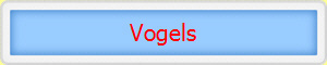 Vogels