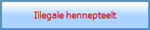 Illegale hennepteelt