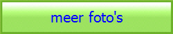 meer foto's