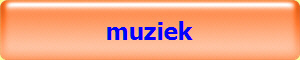 muziek