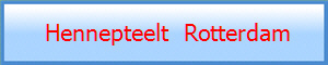  Hennepteelt  Rotterdam