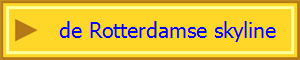  de Rotterdamse skyline 