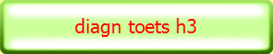 diagn toets h3